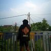 apissipit0