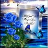 user9817519668499