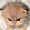 be_ngan_2112
