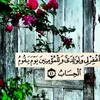 .turkish02