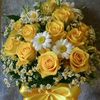 omeawladi12