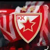 delije256