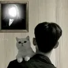 z10__1