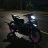 mx_king_kalbar
