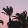 kenc_12