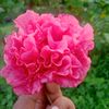 iamback00990