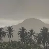 17pj_