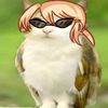 darcilliaa