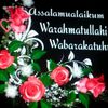 user3305709727412