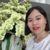 thuhong8651073