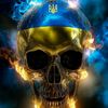 dmitry4519