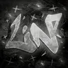 luny4852