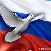 liubov.voyueva
