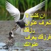 user2240951634954