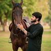 hasanrajpoot7903
