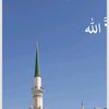 abdiwalimohamed428