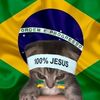fandebrasil4