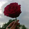 __866760