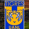 leonardoalainalfa