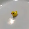 wild.paperella