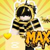 fans_d_max1