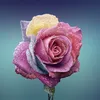 sahar.raad3