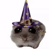 sad_hamster4
