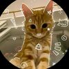 isabell___22