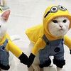 8626.ky_rere..123