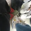 luis.antonio.muni