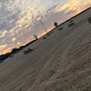 tia.keeler5