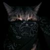 theshadow._.123