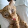 khnsaawwr