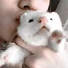 sophia.vilhena5