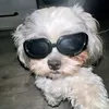 hissillll