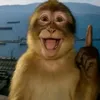 bananacue007