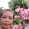user46531254726112