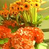 alisha09853