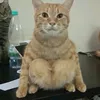 mn.hehehehe