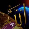 user1195456024493