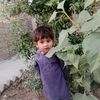 alihussain7328