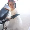 trong.sng..cy.dim