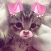 pinn_naalup