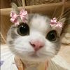 syaniaaaa3