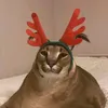 snovim_godomm