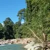 hindiur4