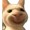 dinorinitoshi