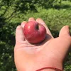 GiA KÈM THÁI Độ NGÂN