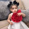 fa.amiri5