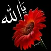 user4051813370348